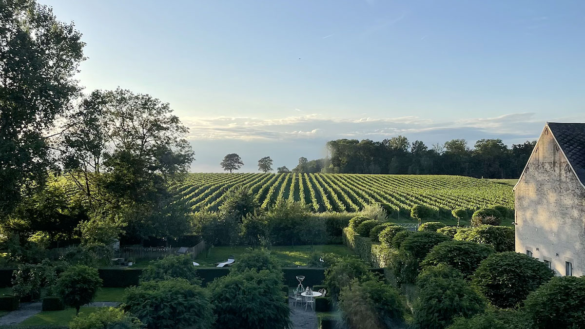 seminaire03 Paysage de vignes verdoyantes sous un ciel bleu, bordé d'arbres et d'une maison blanche sur la droite.